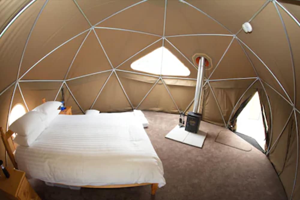 Durrell Wildlife Camp — Saint Helier — photo 4