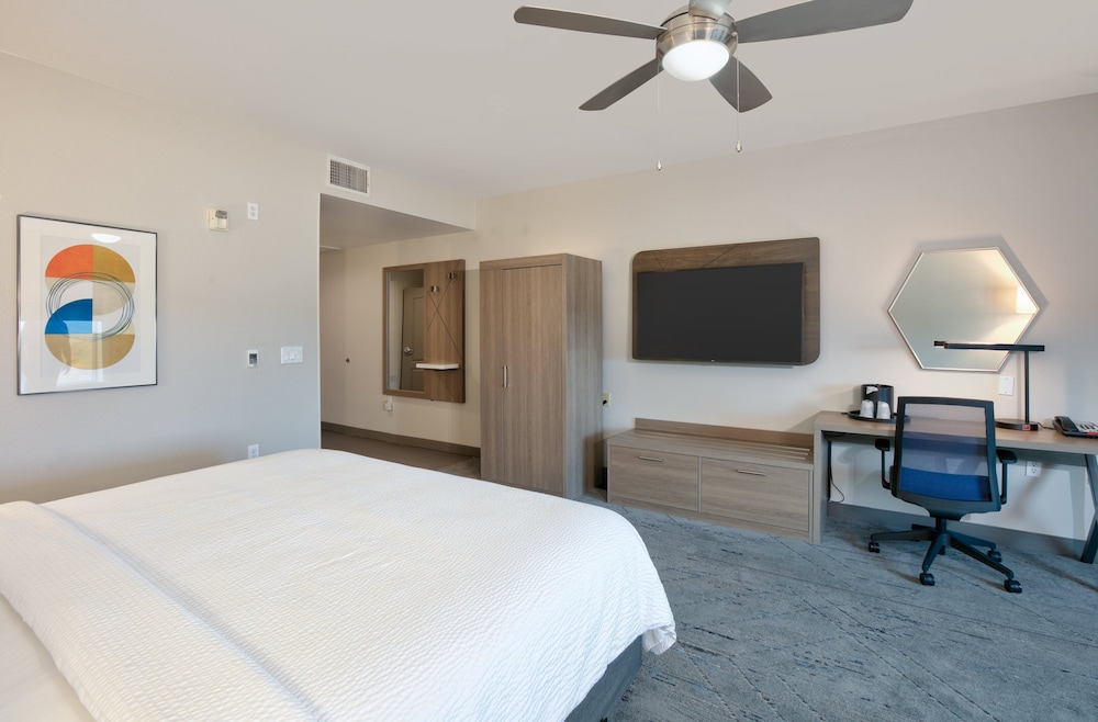 Holiday Inn Express & Suites North Dallas at Preston by IHG - photo 12