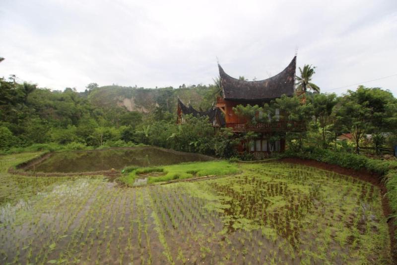 Padi Ecolodge — Bukittinggi — photo 4