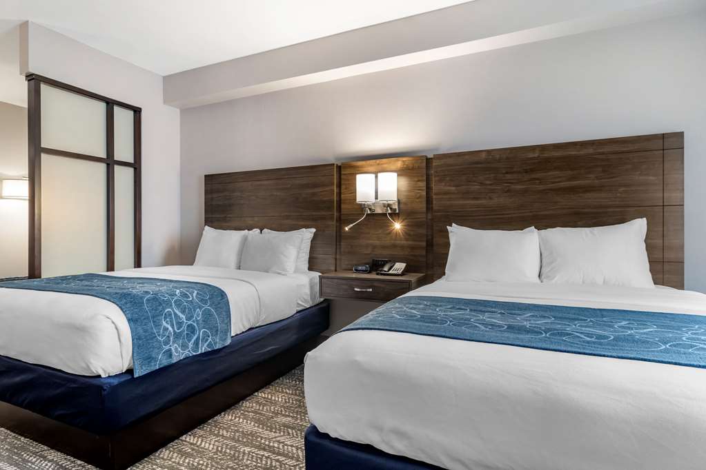 Comfort Suites McDonough Atlanta South - photo 24