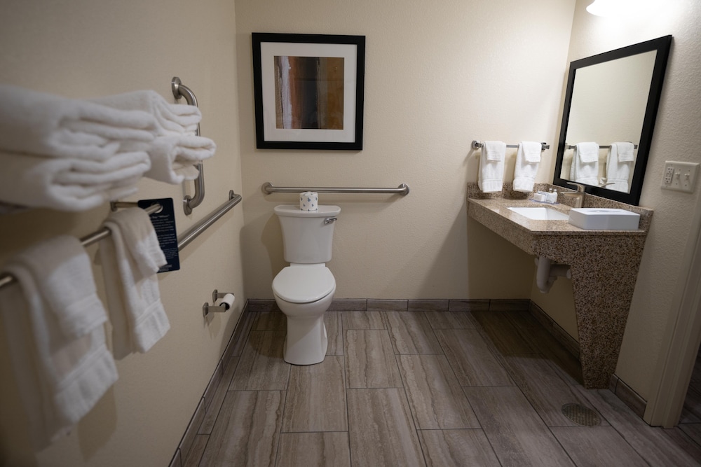 Cobblestone Hotel & Suites Lamar - photo 54