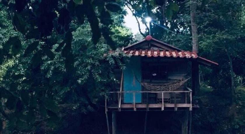 สวนบ้านนอก Suanbaannoak — Phayao — photo 2