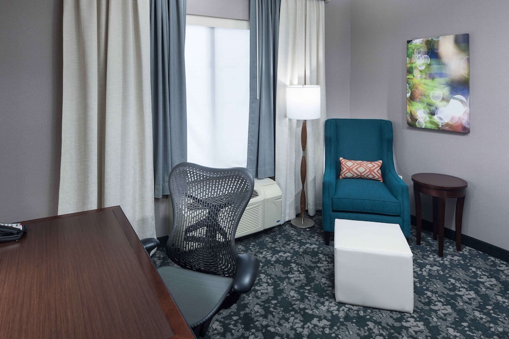 Hilton Garden Inn Detroit Novi - photo 13