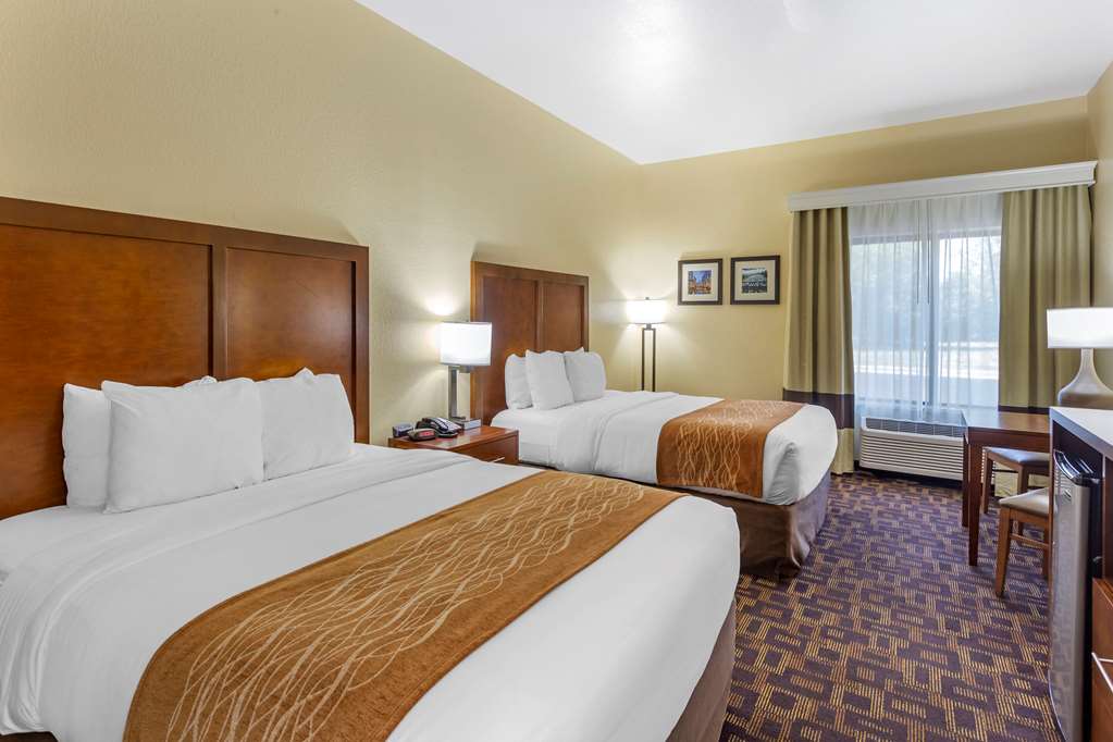 Comfort Inn & Suites North Aurora Naperville - photo 9