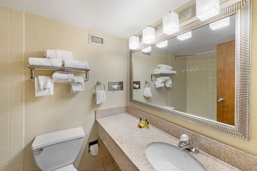 Best Western Plus Madison Huntsville Hotel - photo 25