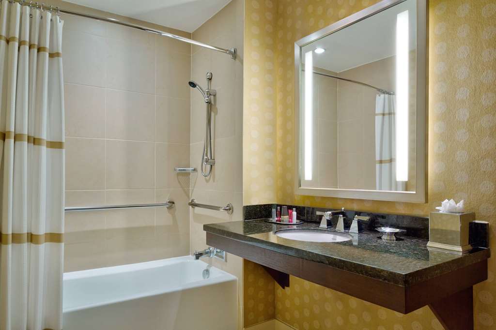 Wyndham Atlanta Buckhead Hotel & Conference Center - photo 30