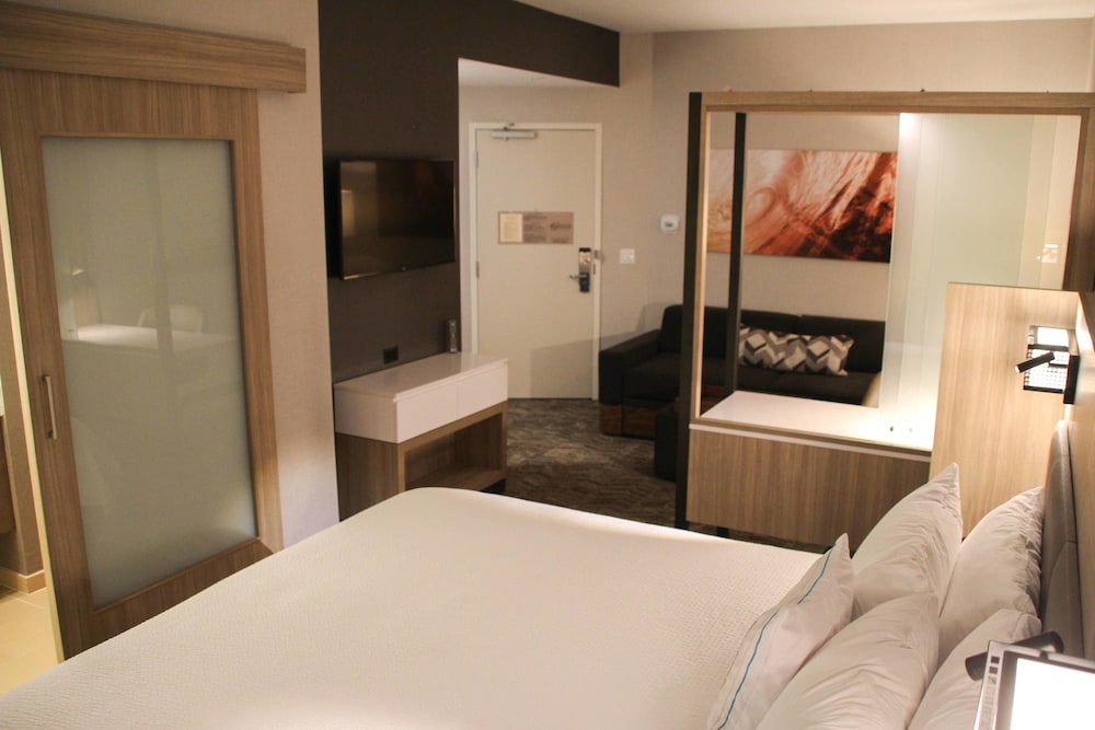 SpringHill Suites Baltimore White Marsh Middle River - photo 6