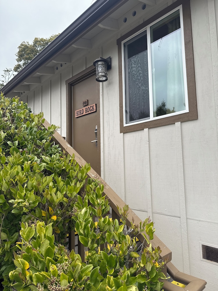 Carmel Resort Inn - photo 125