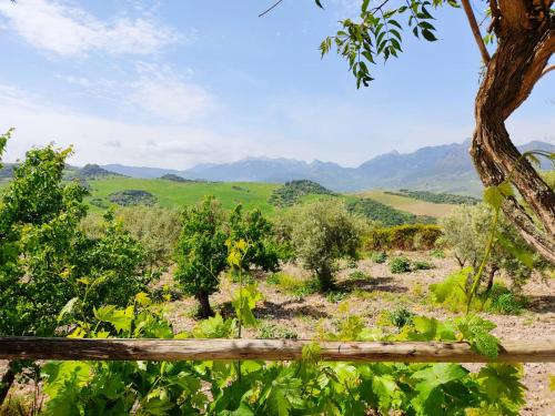 Villa Huerta Nacimiento — Montecorto — photo 4
