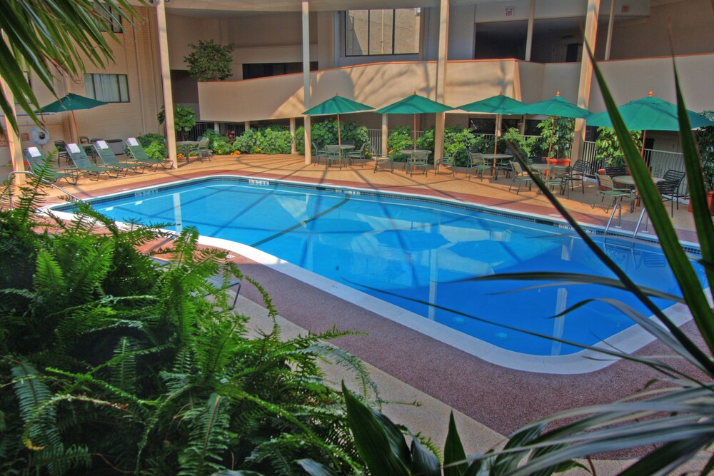 Red Lion Hotel Cromwell - photo 15