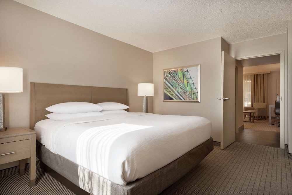 Embassy Suites by Hilton Cleveland Rockside - photo 18
