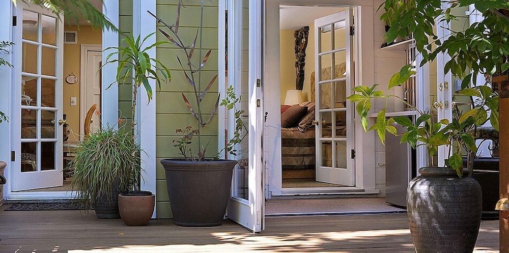Noe's Nest Bed and Breakfast - photo 34