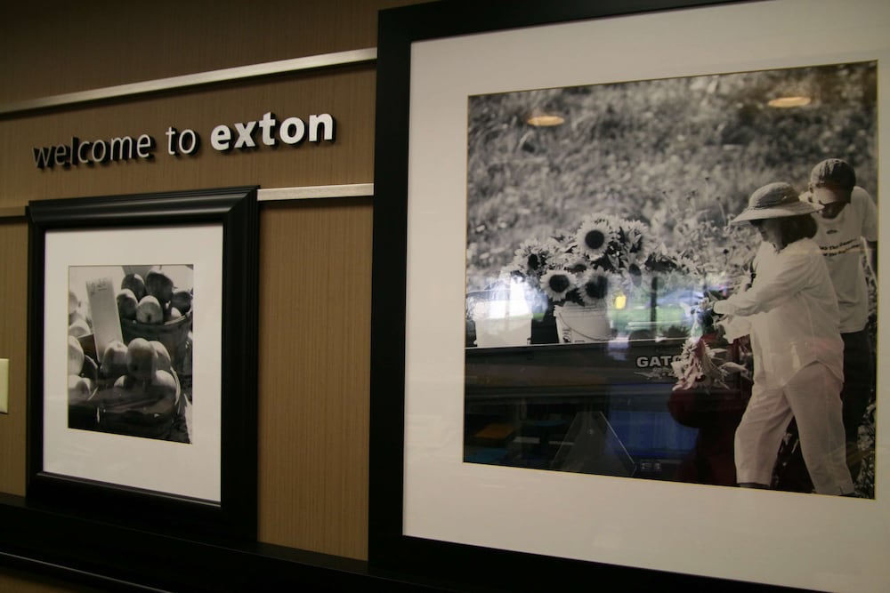 Hampton Inn Downingtown Exton - photo 7