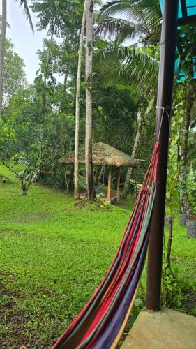 Elnora S Farm — Lucban