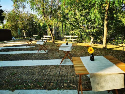 Krasen Kras 104 resort in Komen, Slovenia