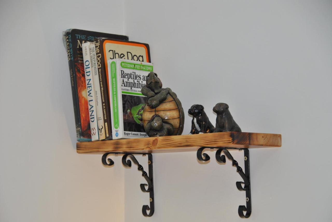 Marvin’s Place — Arad — photo 3