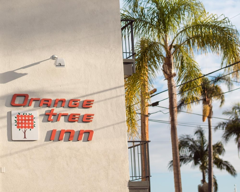 Orange Tree Inn - photo 40