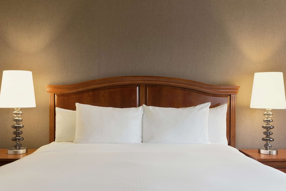 DoubleTree by Hilton Detroit Novi - photo 5