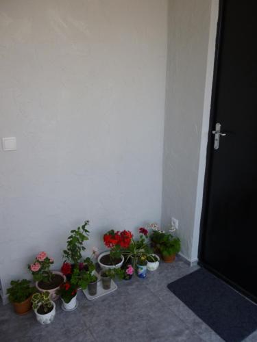 Old City LG Apartments
