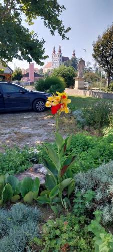 Nastanitev Na Gri Au in Unknown City, Slovenia