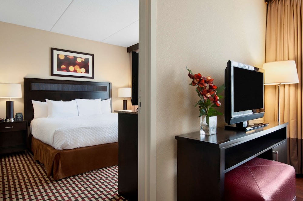 Embassy Suites by Hilton Jackson North Ridgeland - photo 15