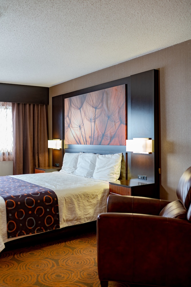 Royal River Casino and Hotel - photo 11