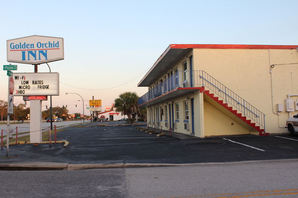 Golden Orchid Inn - photo 5