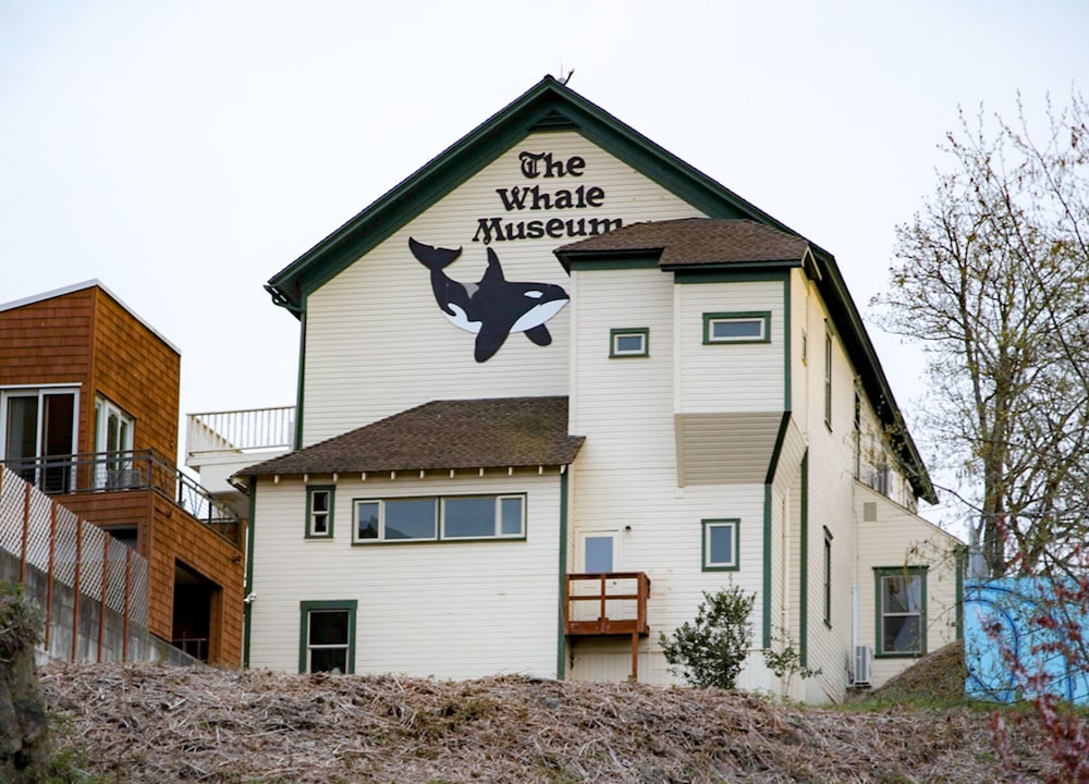 Earthbox Inn & Spa - photo 48