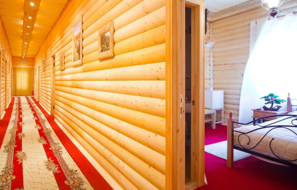 Domik Lesnika in Tol'yatti, Russia