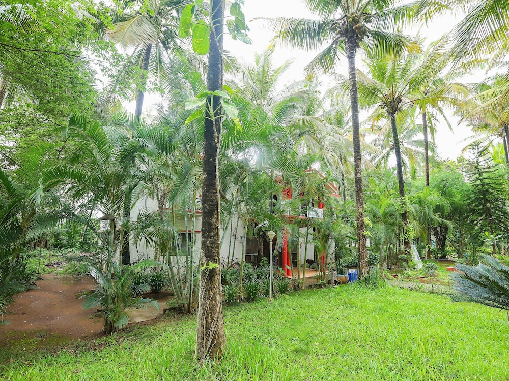 OYO 14369 Kushalnagar in Kushalnagar, India