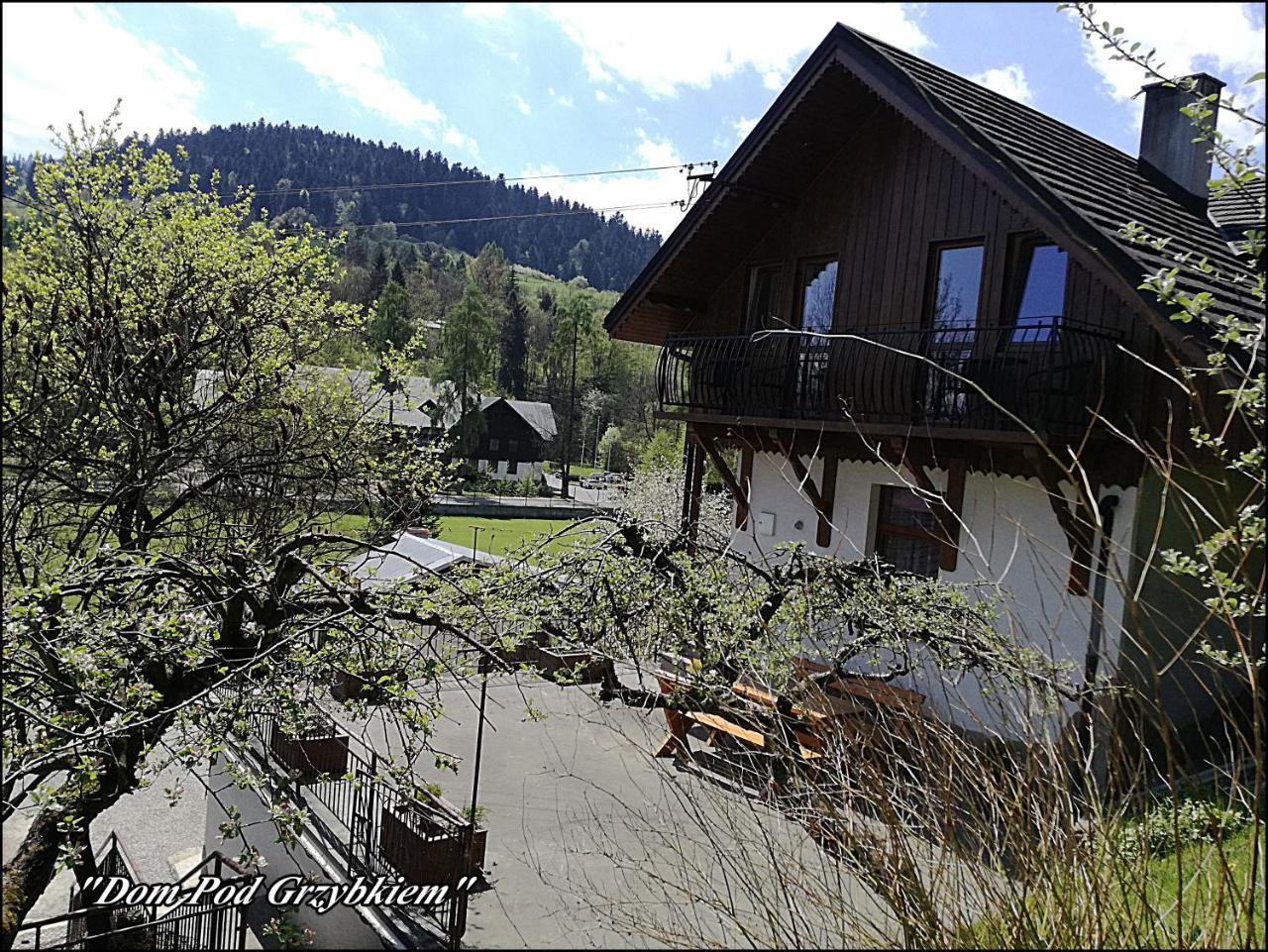 Dom Pod Grzybkiem in Kroscienko Nad Dunajcem, Poland
