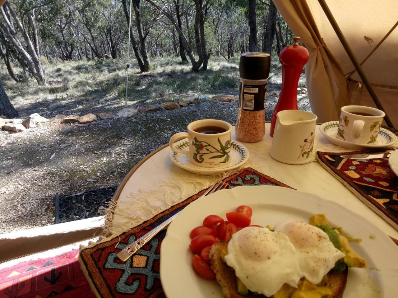 Macedon Ranges Glamping with kangaroos — Macedon — photo 5