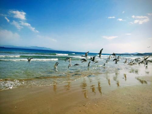 Blue Horizon Ghougine — 4-Star Luxury Hotel in Tangier, Morocco