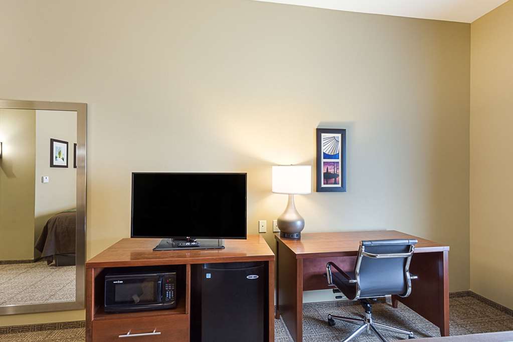 Comfort Inn & Suites Zachary - photo 12