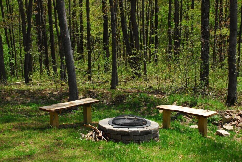 Donovan's Dacha - photo 3