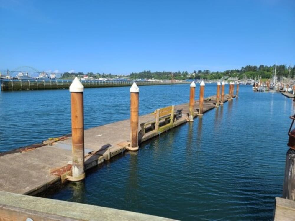 Embarcadero Resort Hotel & Marina - photo 96