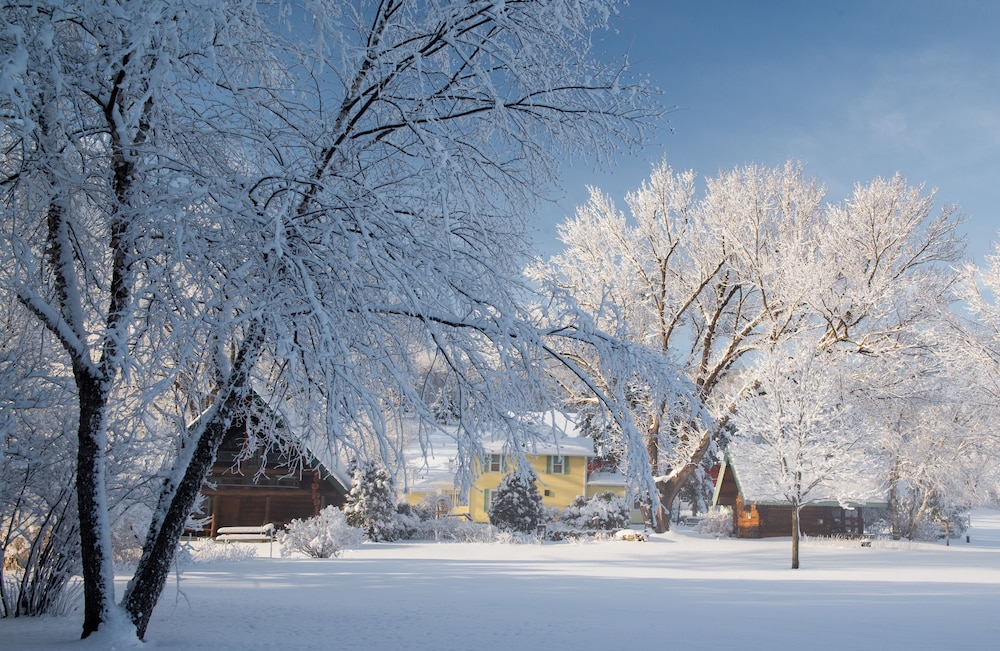 Justin Trails Resort LLC. - photo 68