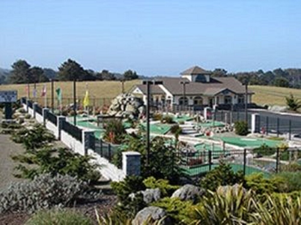 Emerald Dolphin Inn & Mini Golf - photo 24