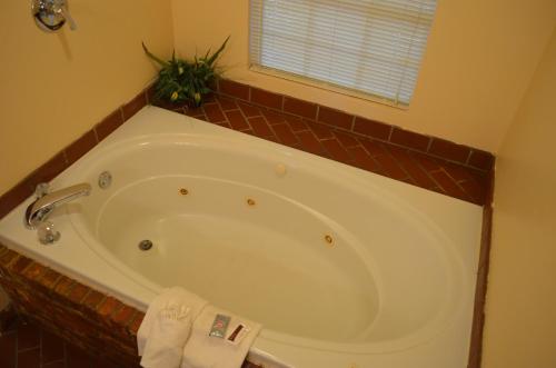 Ouachita Mountain Inn - photo 15