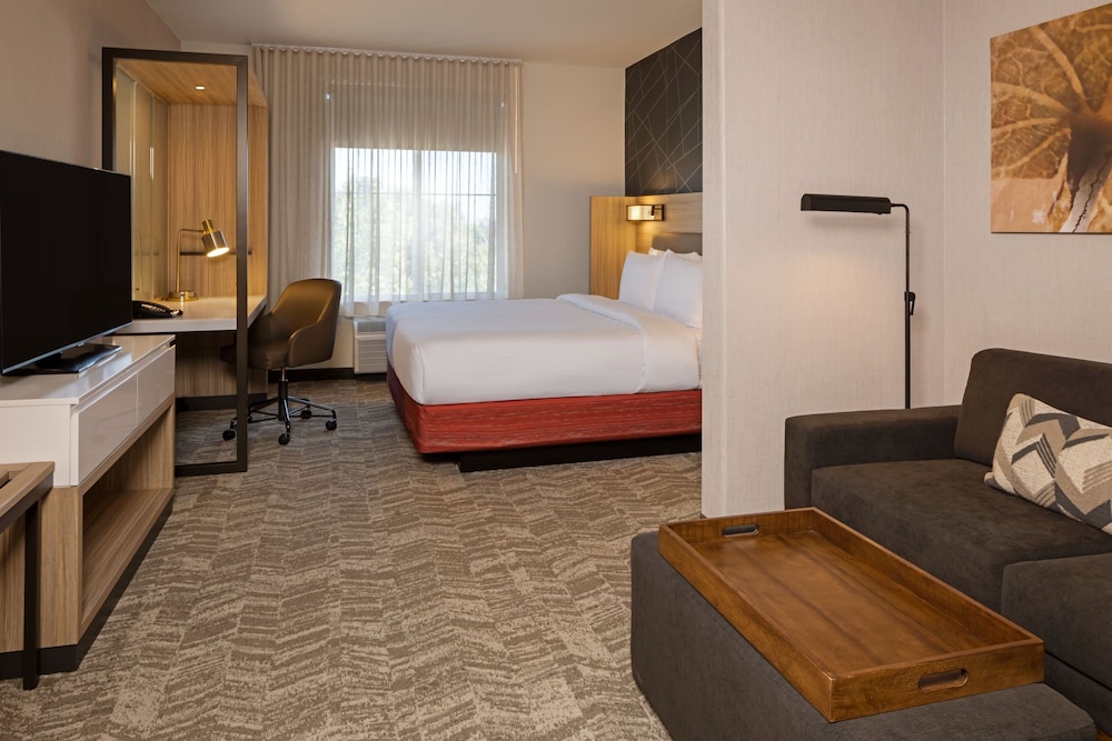 SpringHill Suites by Marriott Turlock - photo 12