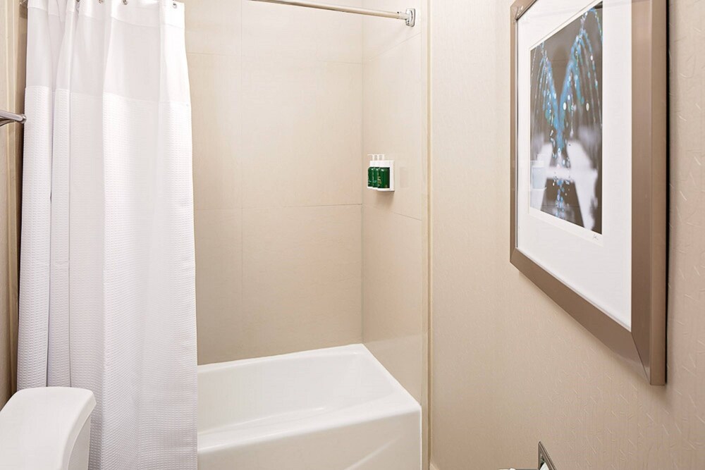 SpringHill Suites by Marriott El Paso - photo 11