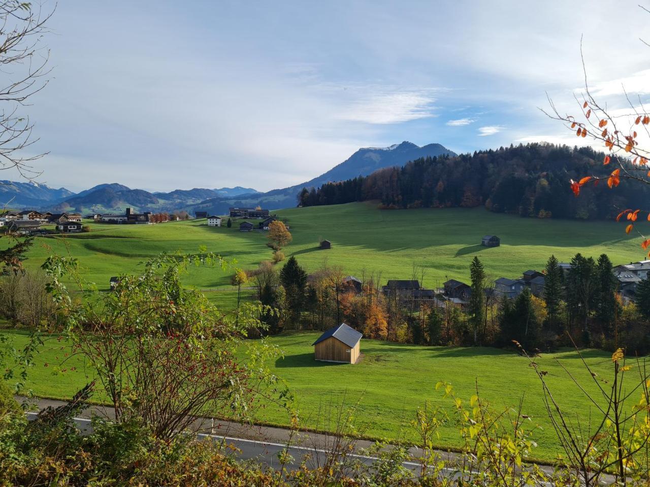 Ferienhaus Buchen — hotel in Schwarzenberg