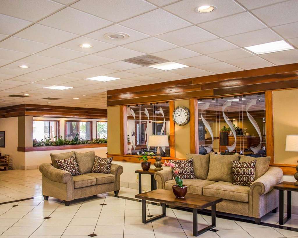 Quality Inn & Suites Pensacola Bayview - photo 4