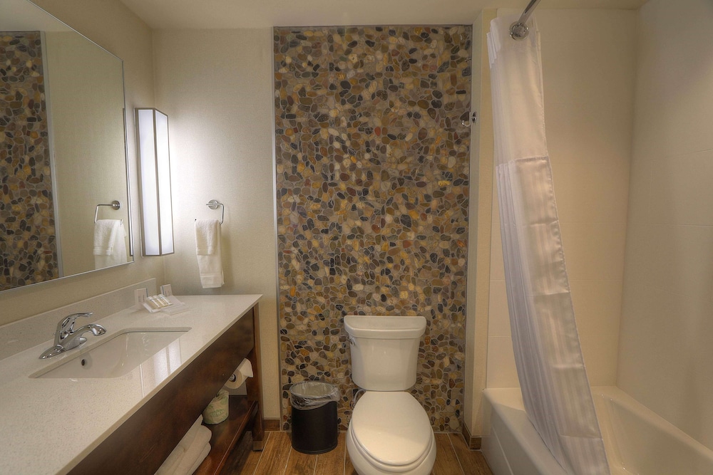 Hilton Garden Inn Pigeon Forge - photo 47