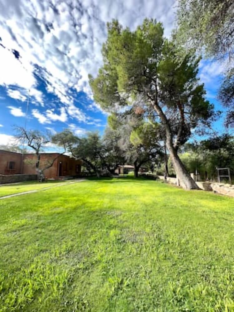 El Rancho Robles - photo 144