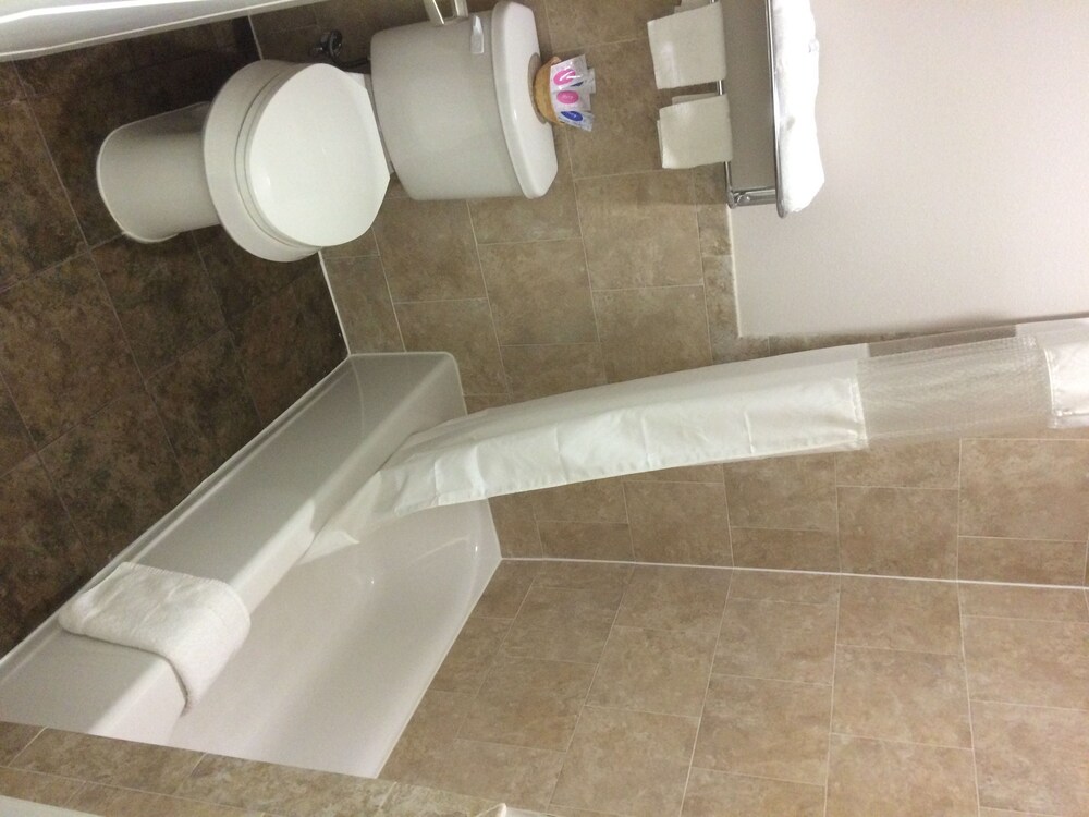 Palace Inn Sam Houston - photo 14