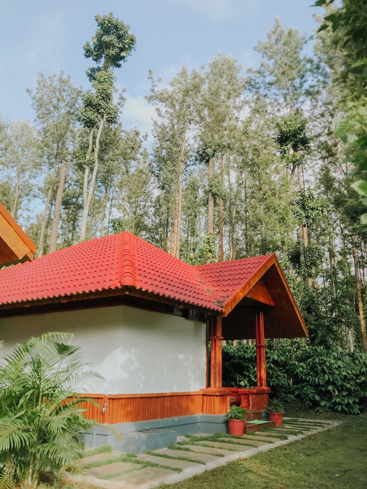 Wood Clusters in Somvarpet, India