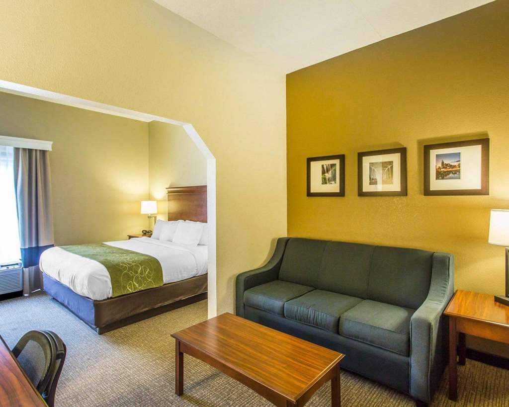 Comfort Suites Cookeville - photo 20