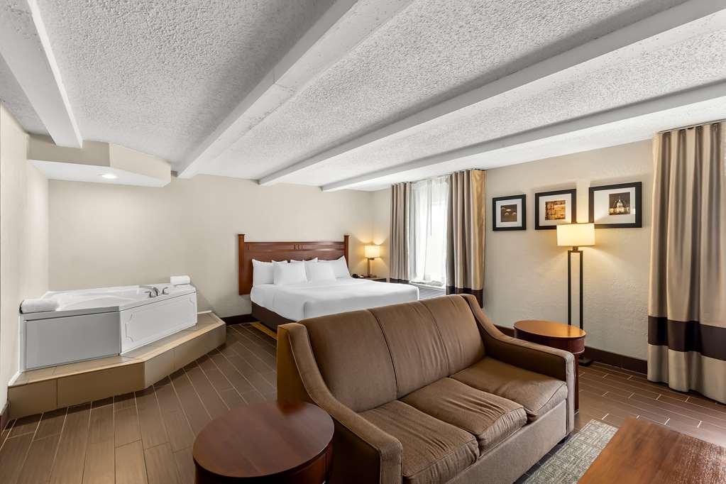 Comfort Inn St. Louis Westport Event Center - photo 28