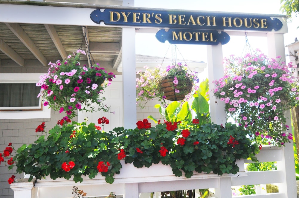 Dyer's Beach House - photo 32